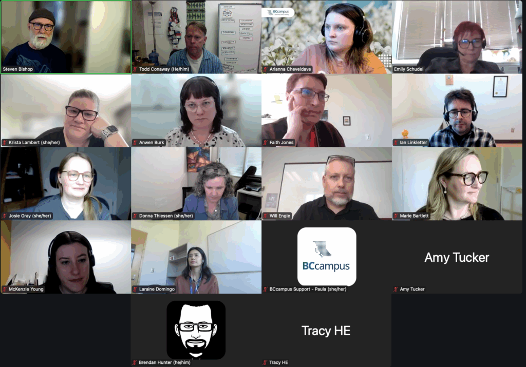 A screenshot of a Zoom session with about 15 participants. 